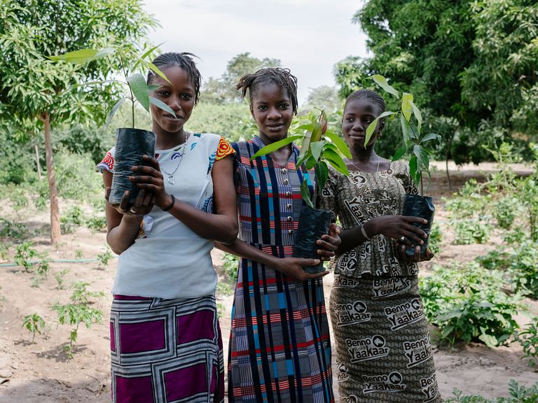 Three women plant trees in the desert.