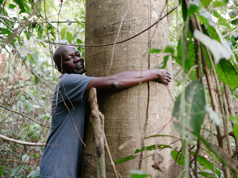 Man hugs a large tree.