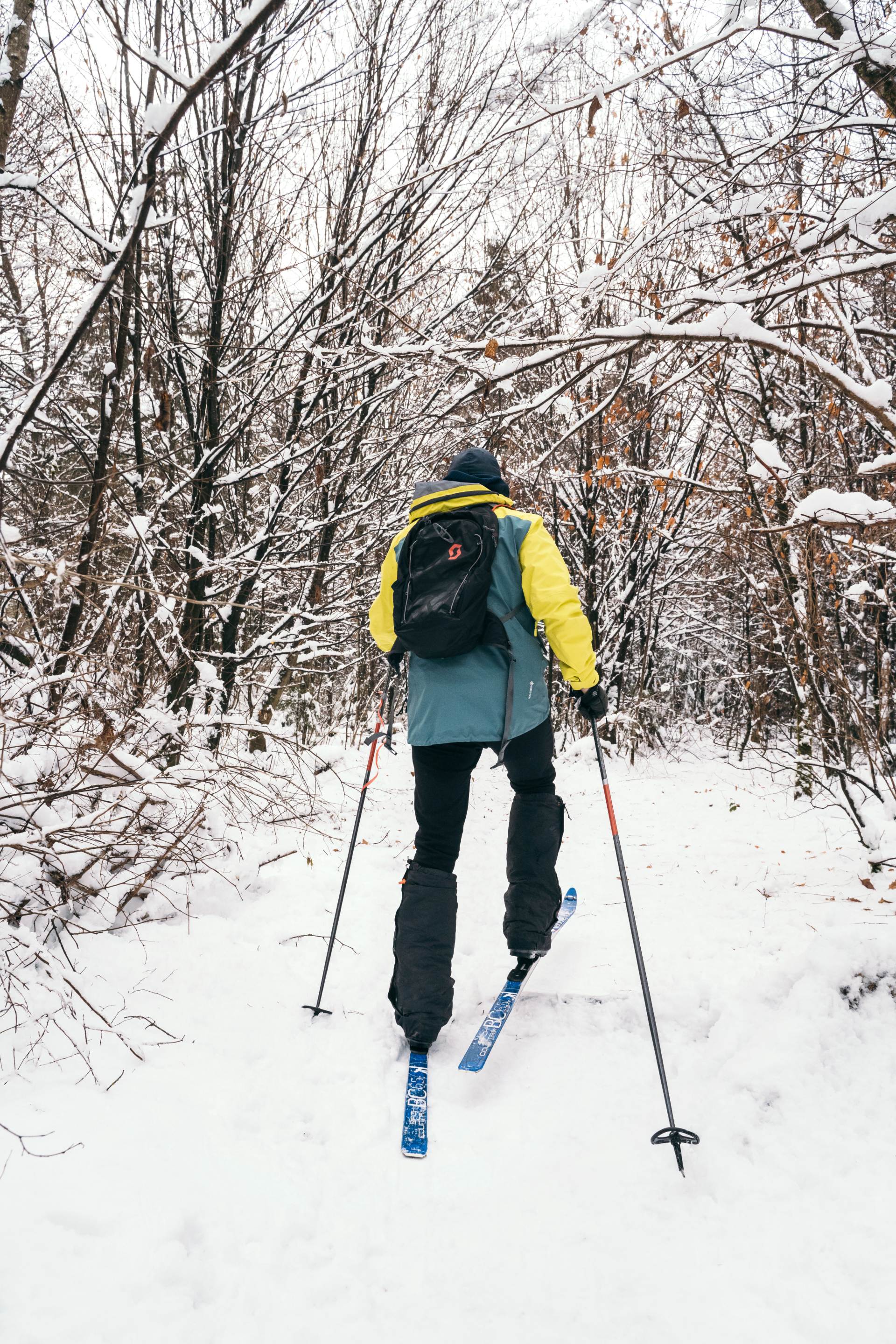 Sebastian Copeland skiing through the woods.