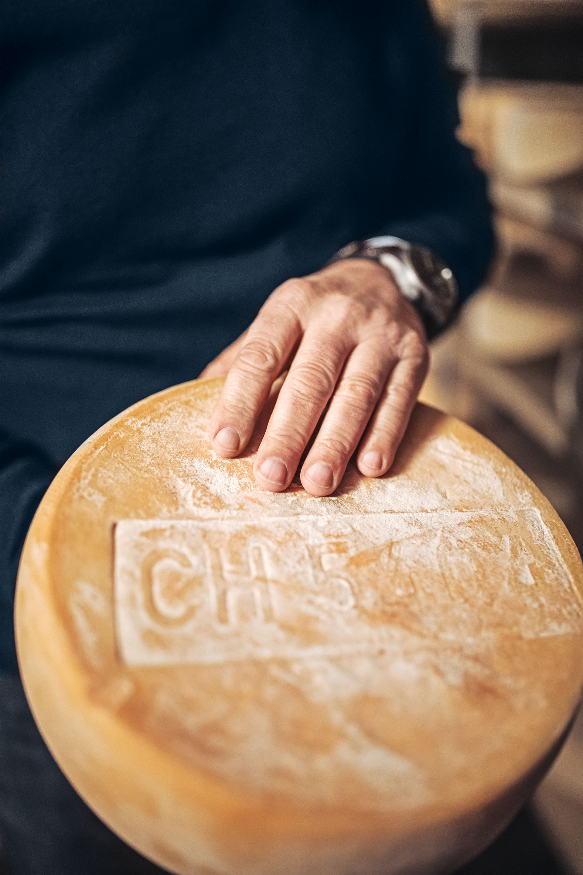 A wheel of cheese.