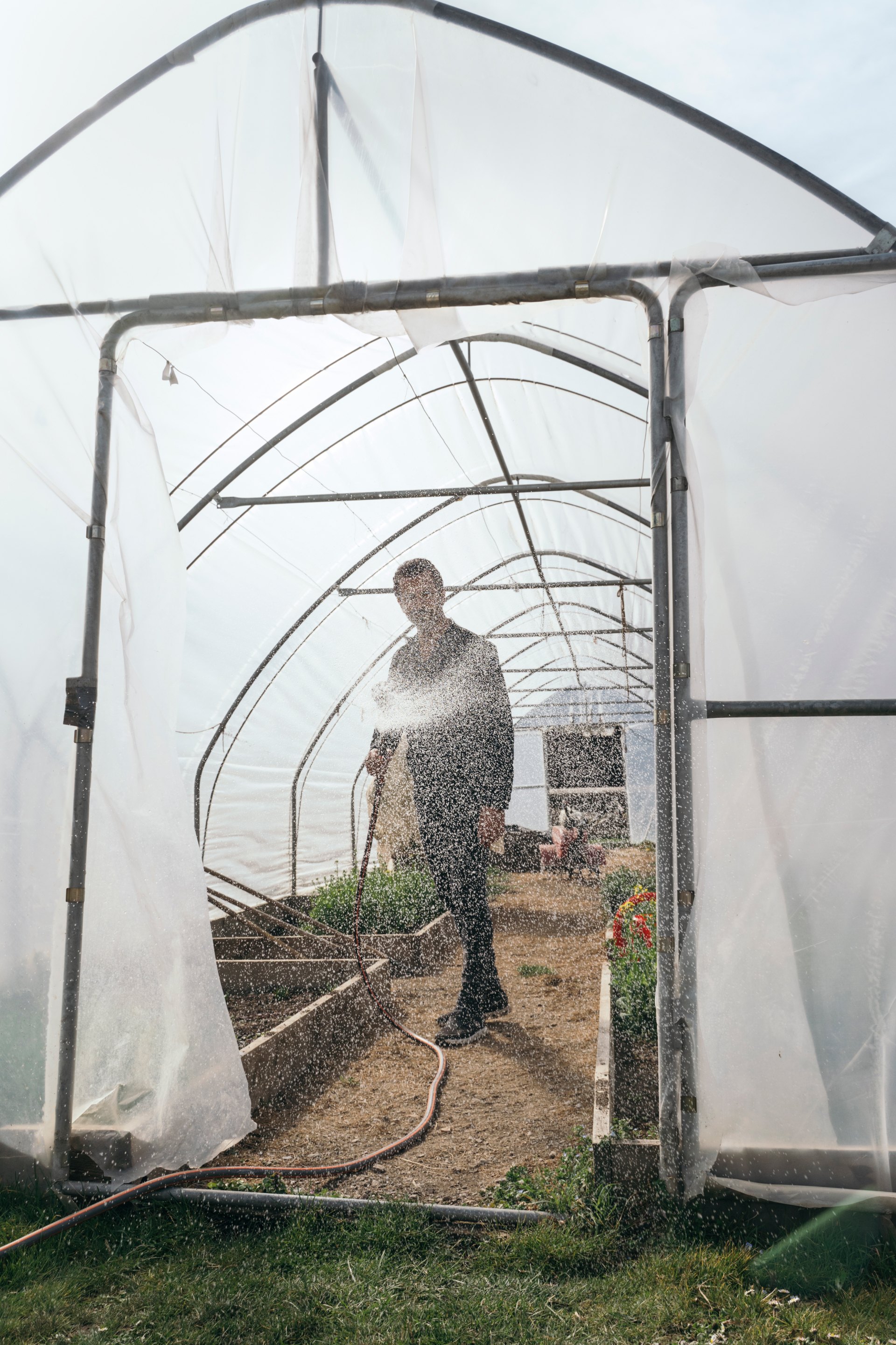 Caminada in the greenhouse